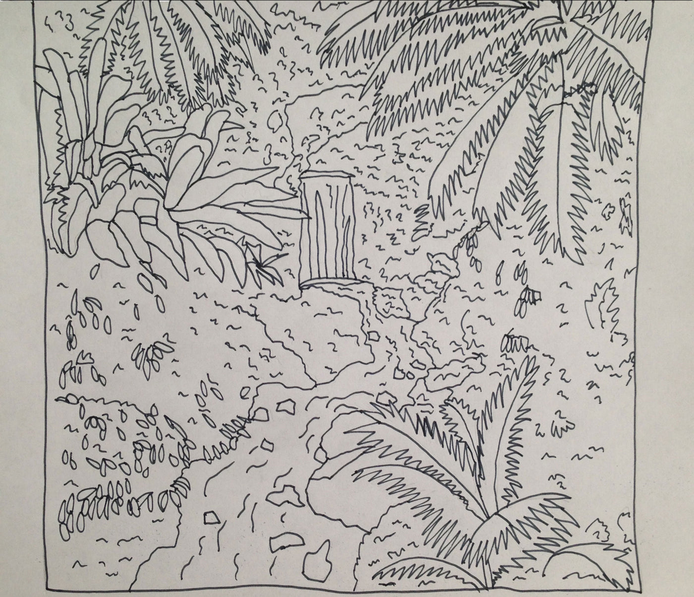 DMOVDO - RAINFOREST