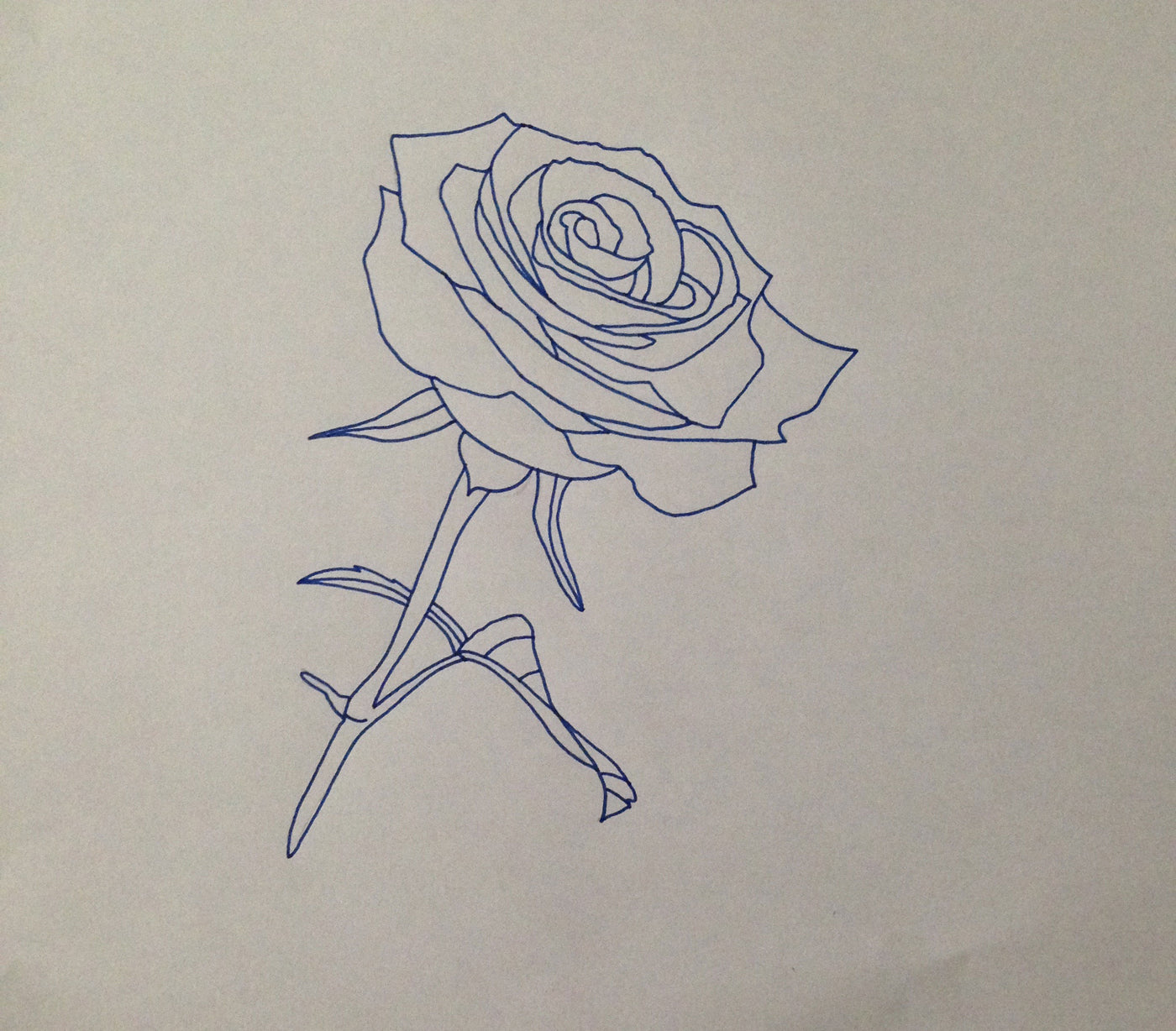 DMOVDO - ROSE