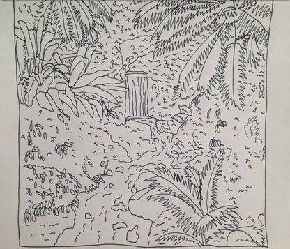 DMOVDO - RAINFOREST