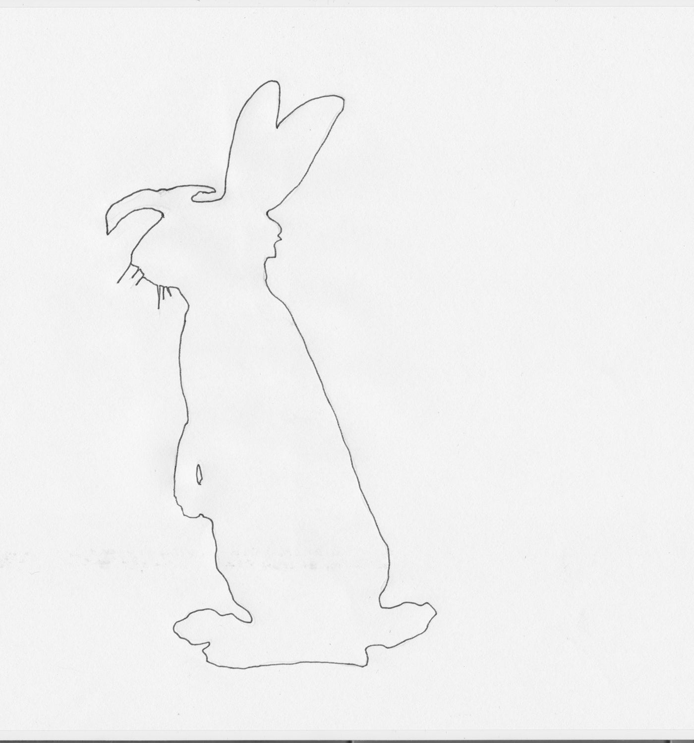 30 - HOOD RABBIT