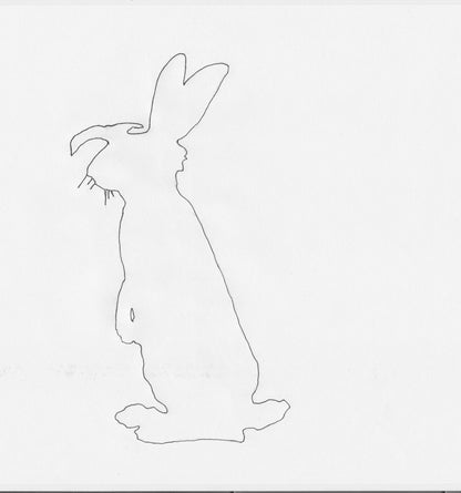 30 - HOOD RABBIT